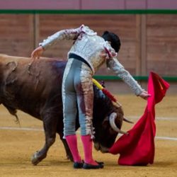 alvaro lorenzo 300