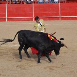 Astudillo