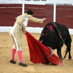 Indulto Notificado