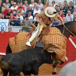 Novillo El Freixo Captieux 2018