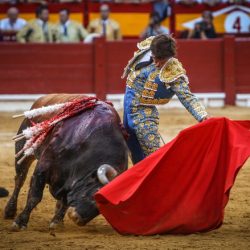 el juli alicante