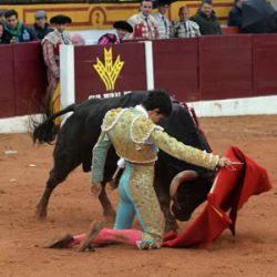 El Freixo Olivenza 2018