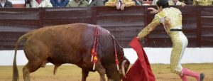 Olivenza 2012