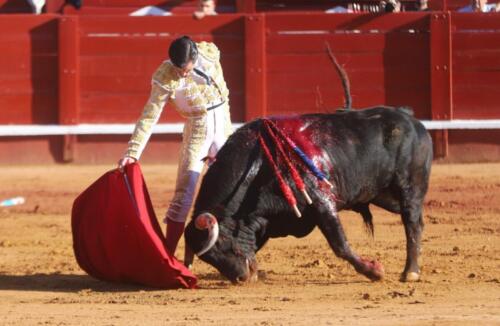 Juan Ortega en Aranjuez