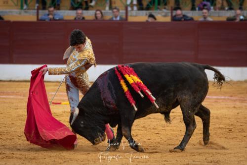 Novillada-La-Linea-17