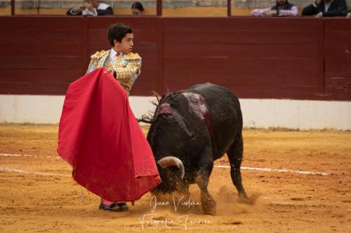 Novillada-La-Linea-4